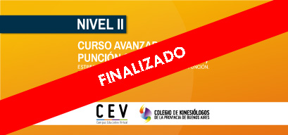 PUNCIÓN SECA Y VENTONSAS NIVEL 2