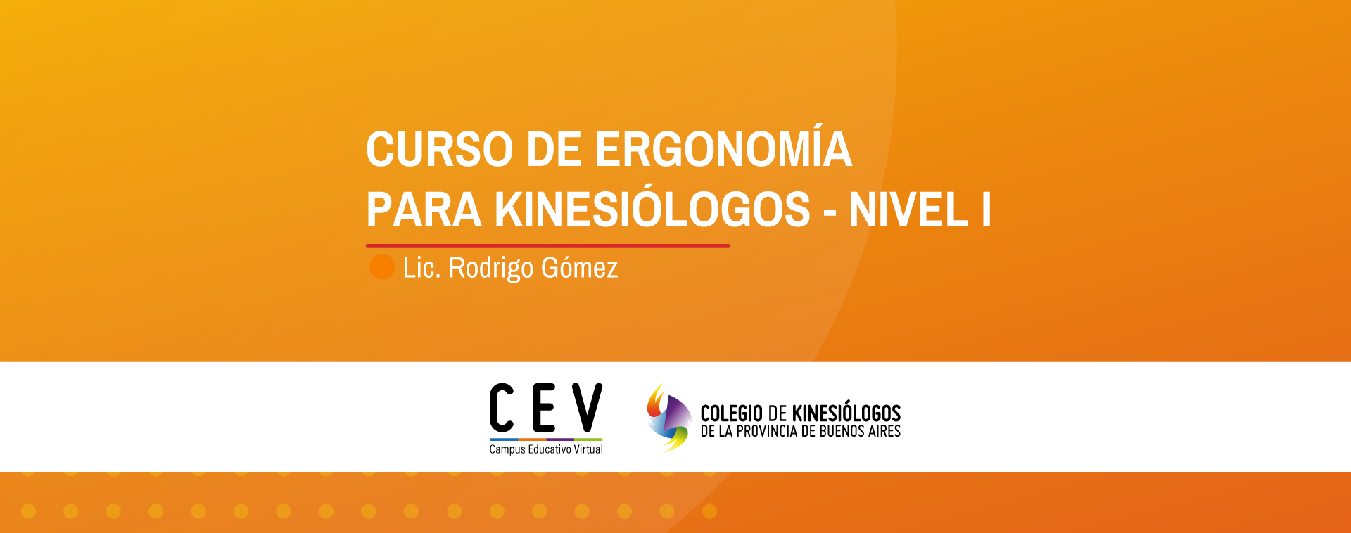 CURSO DE ERGONOMÍA PARA KINESIÓLOGOS NIVEL 1