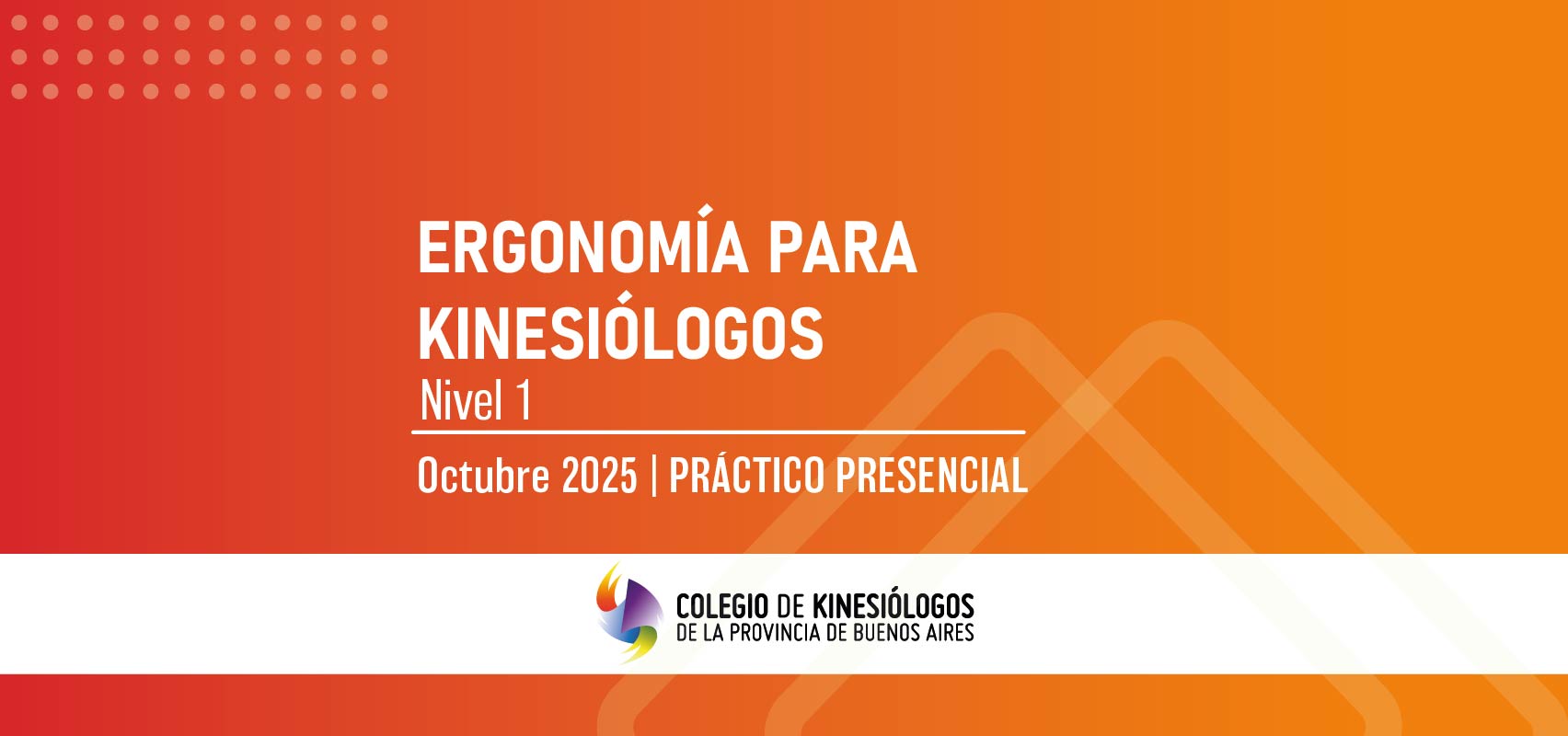 CURSO DE ERGONOMÍA PARA KINESIÓLOGOS NIVEL 1 (2025)